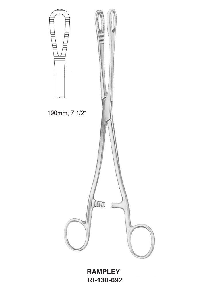SONGE FORCEPS, TOWEL CLAMPS